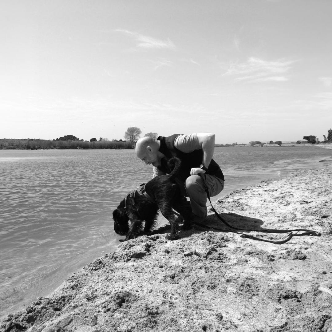 Servicio de Adiestramiento canino en positivo